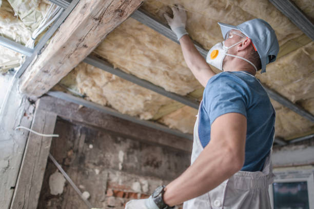 Best Insulation Maintenance and Repair in Cambridge, MA